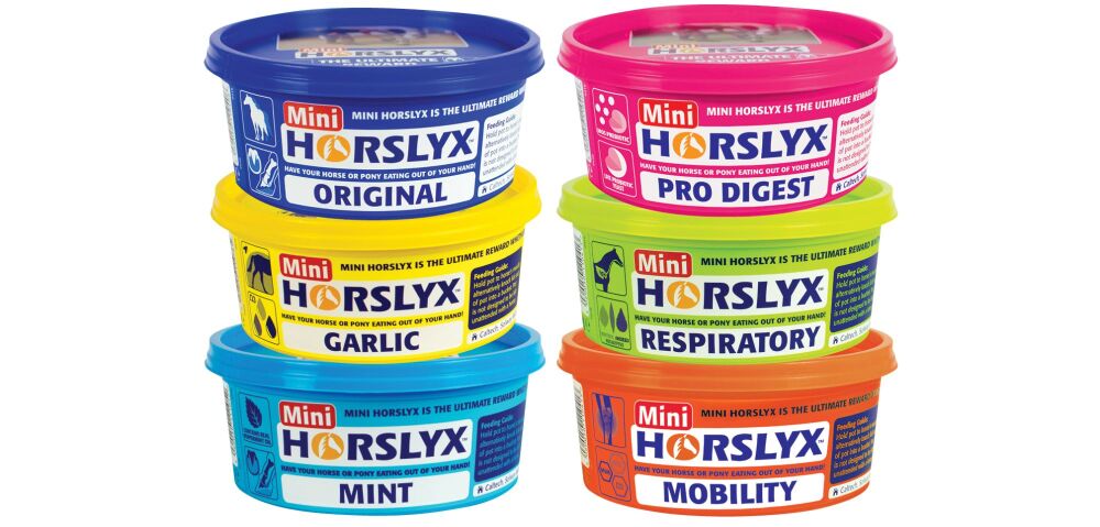 Horslyx Mini Lick - 650g