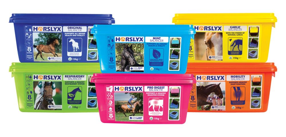 Horslyx Extra Large Licks 15kg