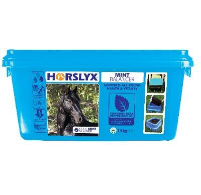 Horslyx Extra Large Licks 15kg