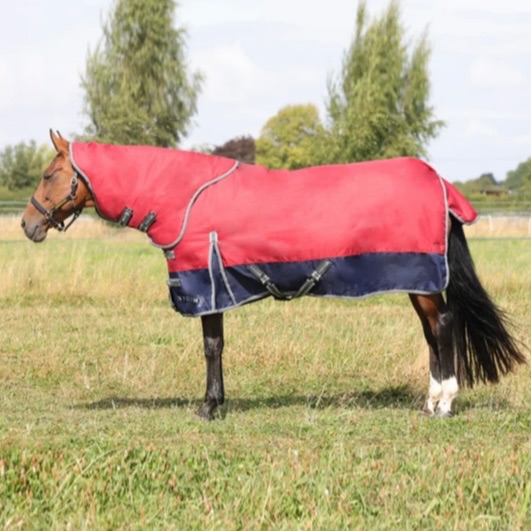 Storm X Empra 200g Detachable Neck Turnout Rug