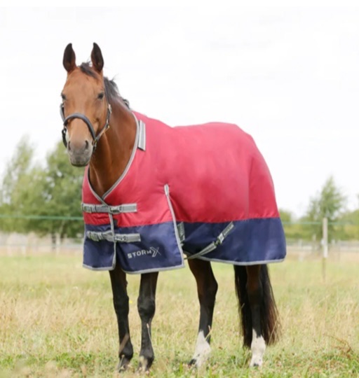 Storm X Empra 200g Detachable Neck Turnout Rug