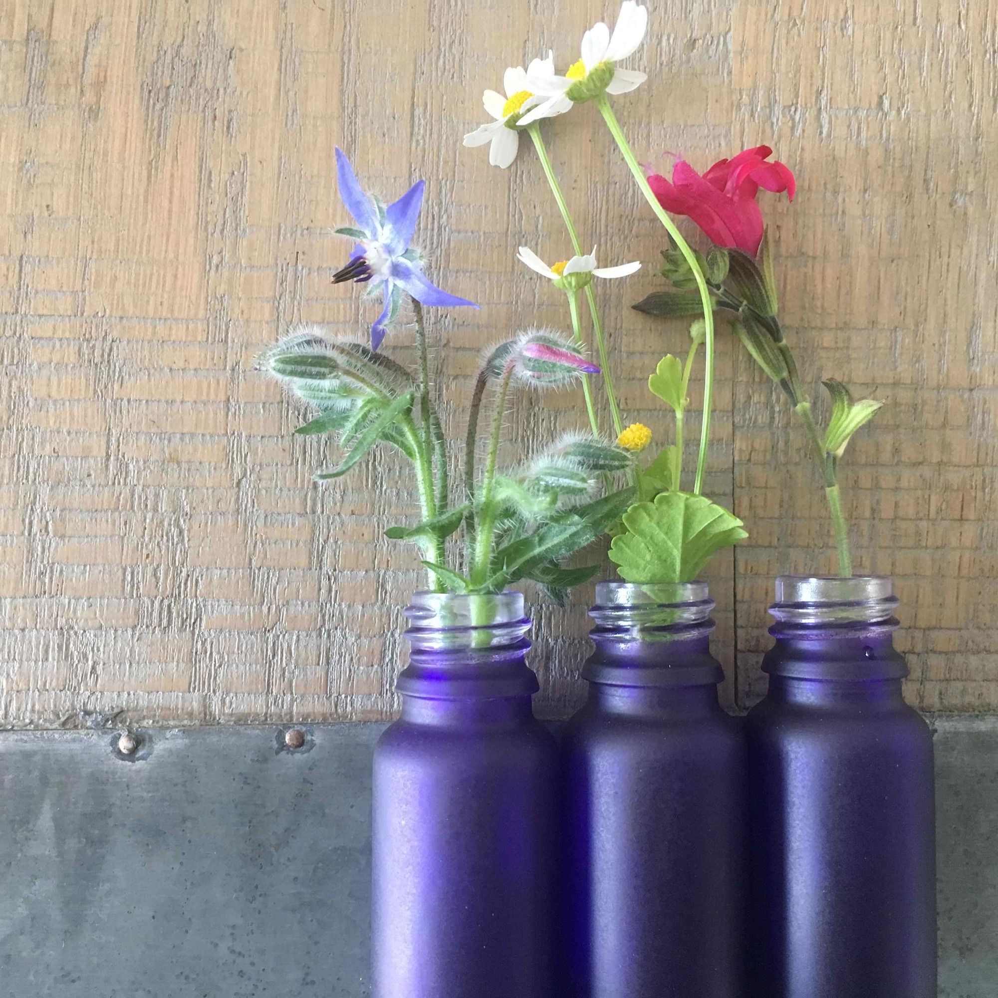 Wildflowers in apothecary vials