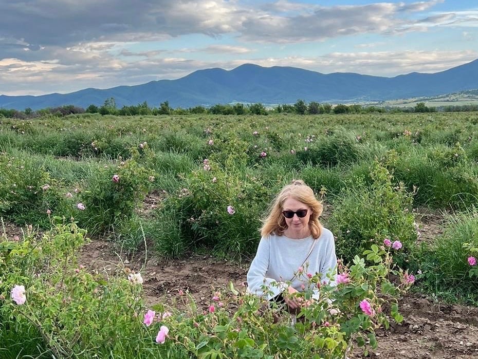 Lucy in lavender field