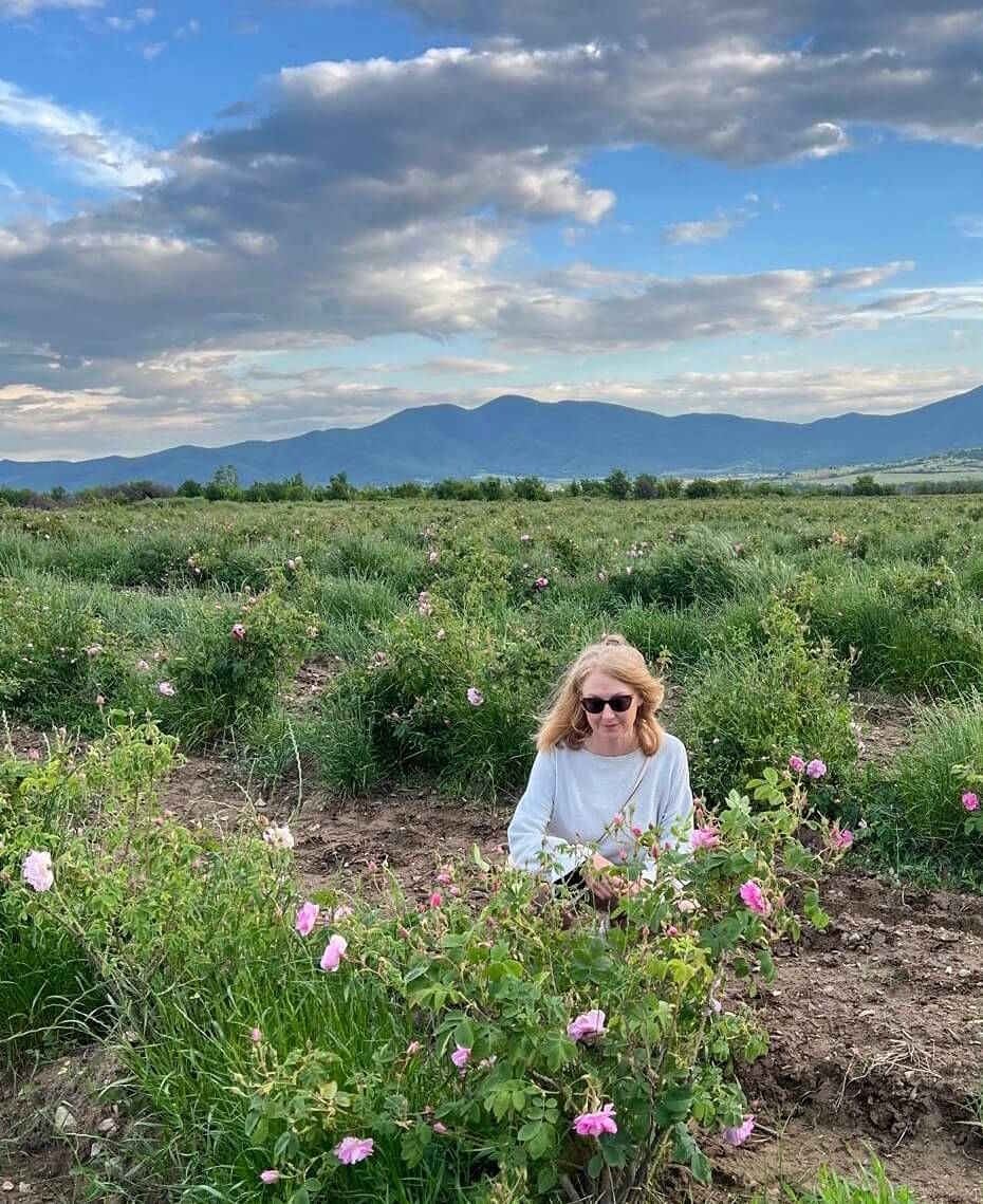 Lucy in lavender field