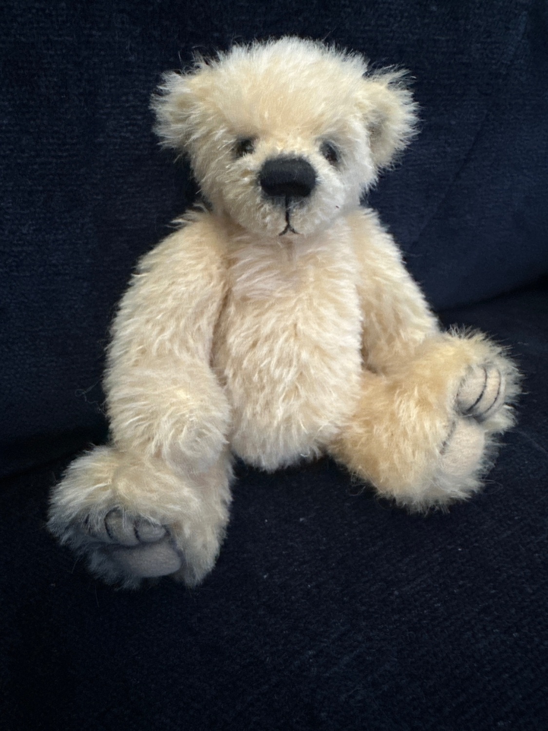 Kaz bears, miniature bear
