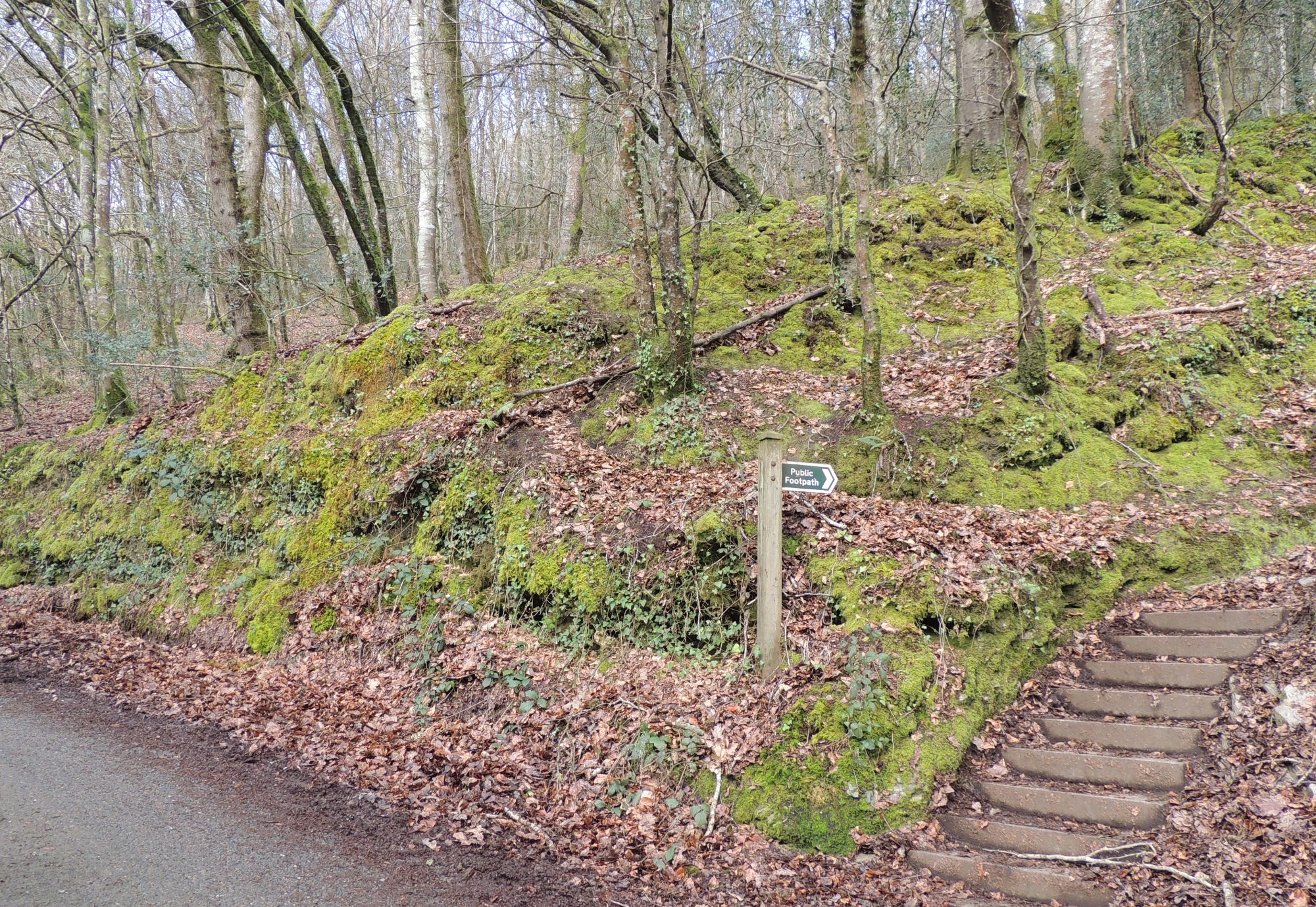 Giant's Hedge with footpath sign and steps