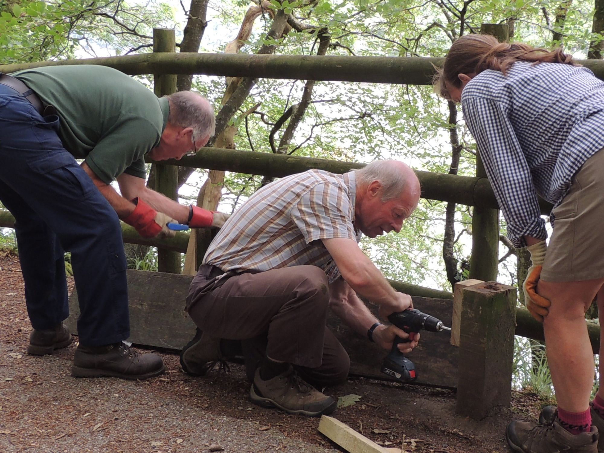 People in Kilminorth Woods