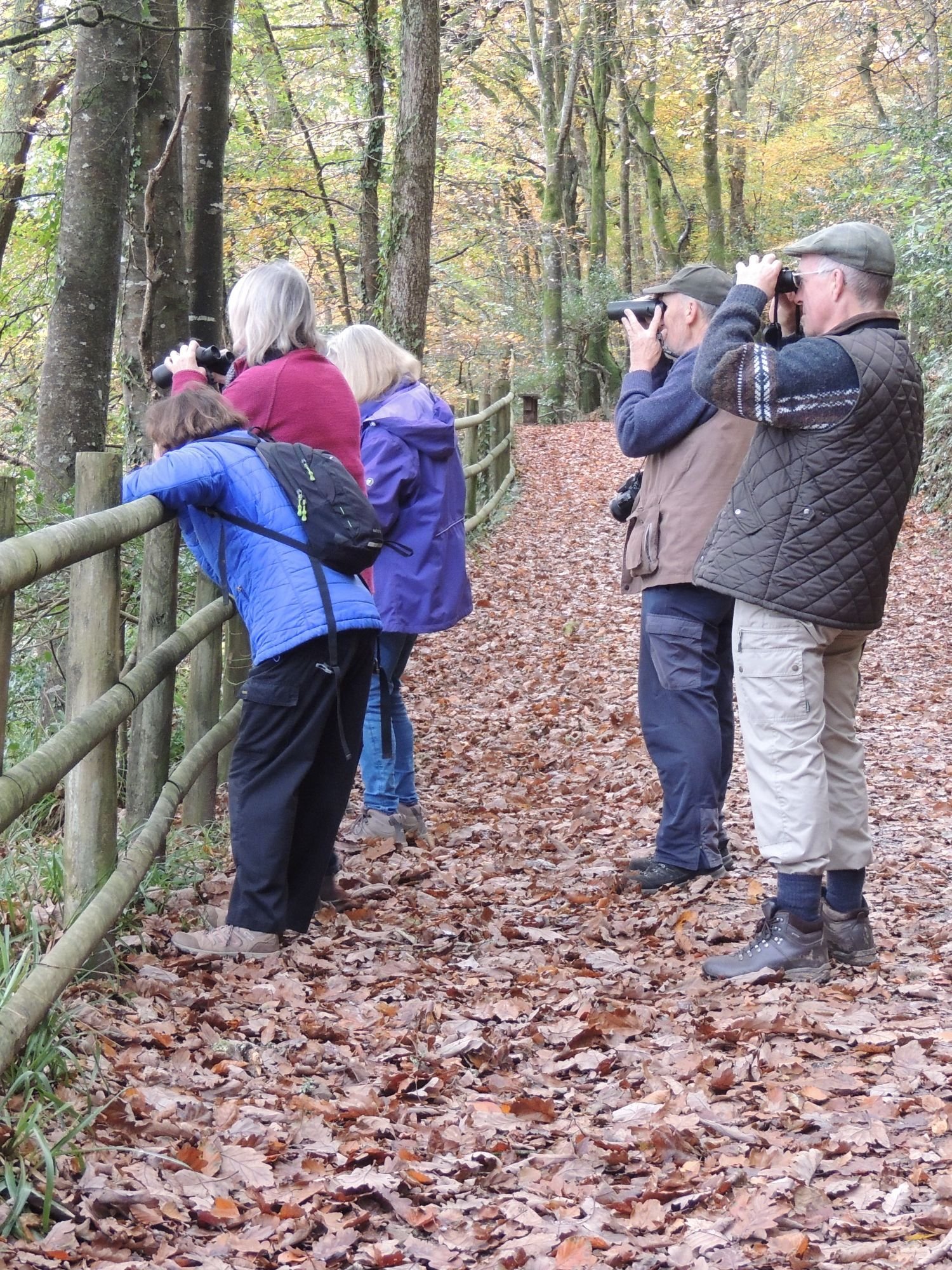 FofKW group using binoculars