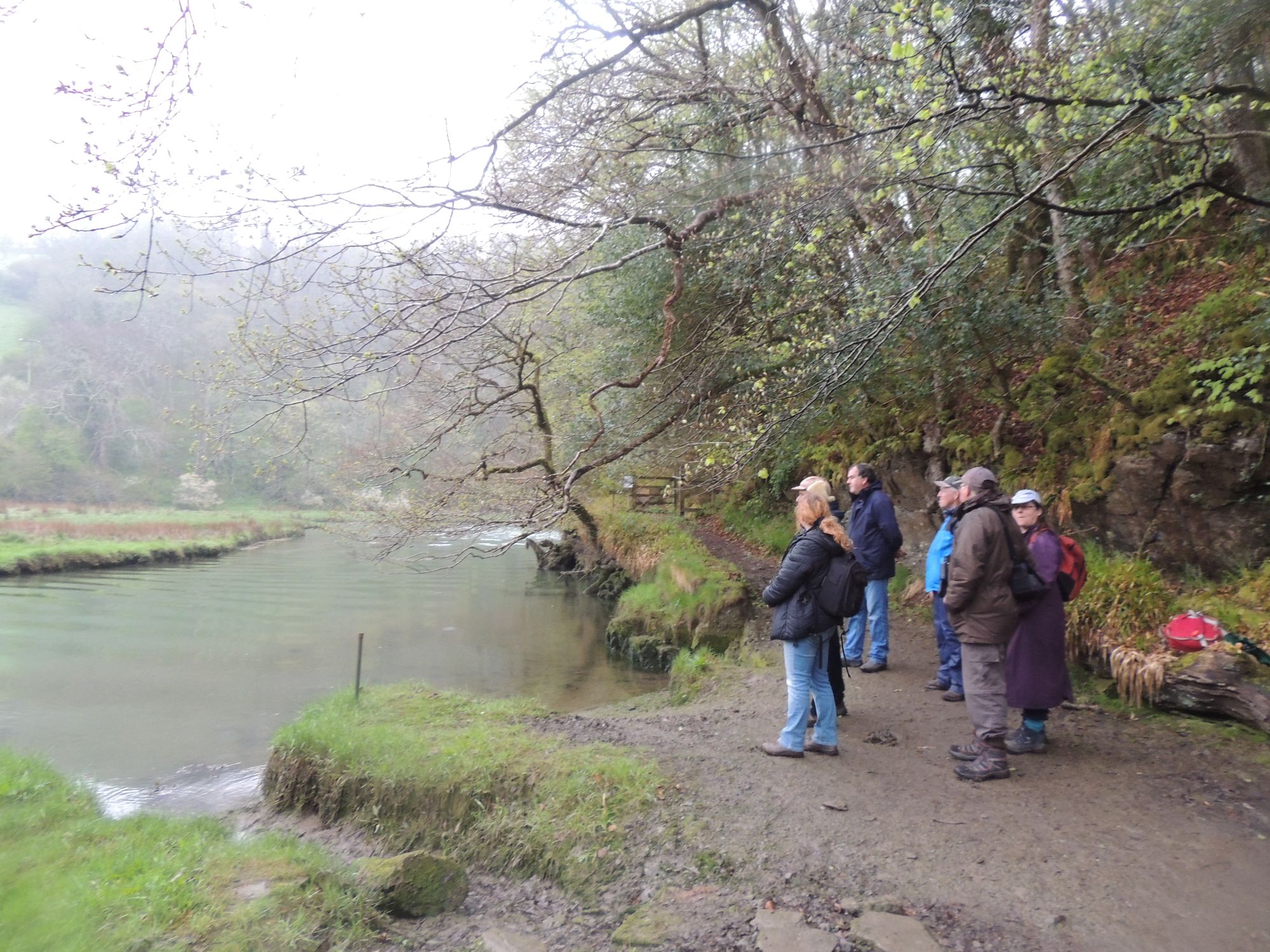 FofKW group looking at the West looe River at Watergate