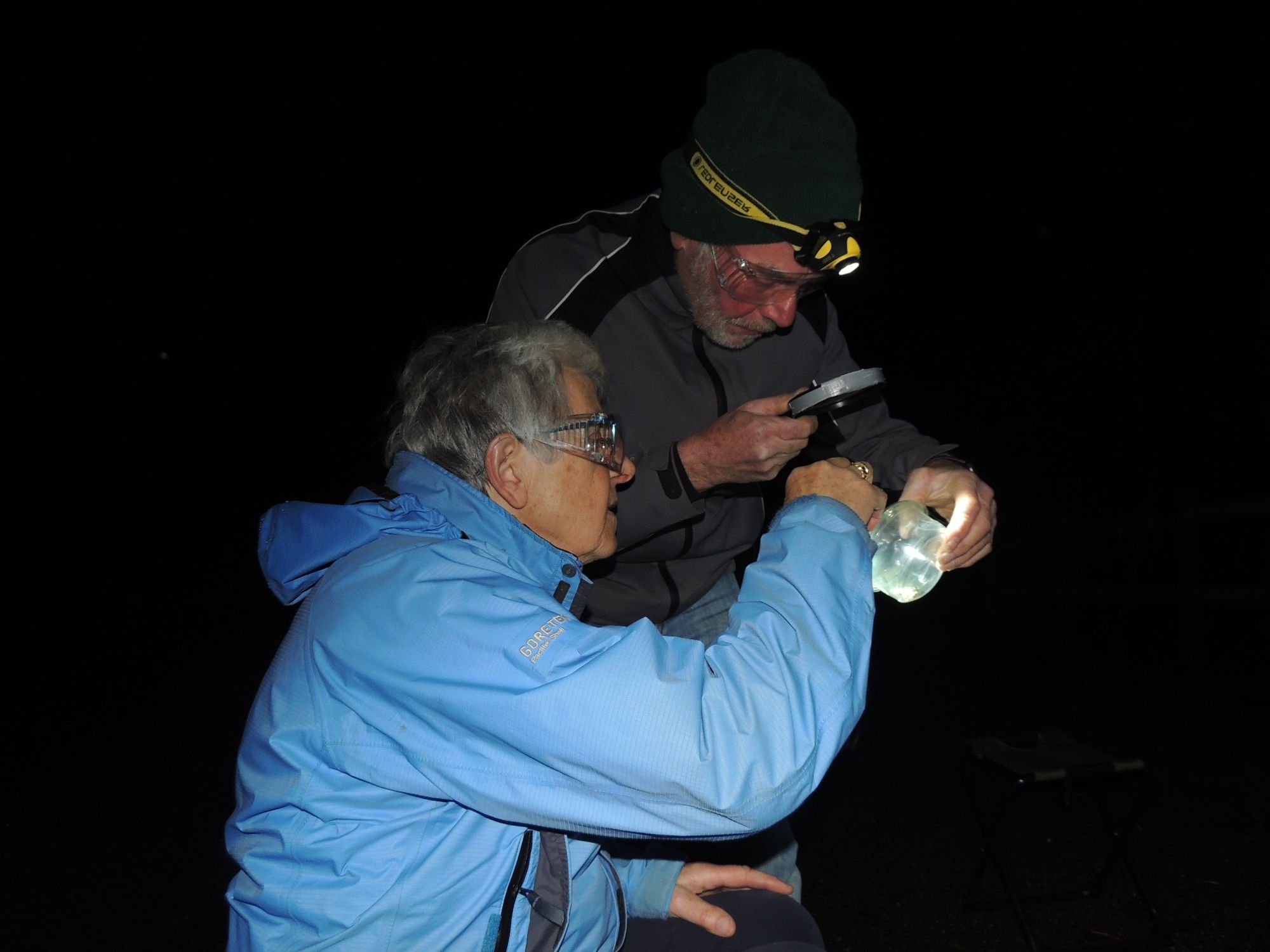Moth night April 2024