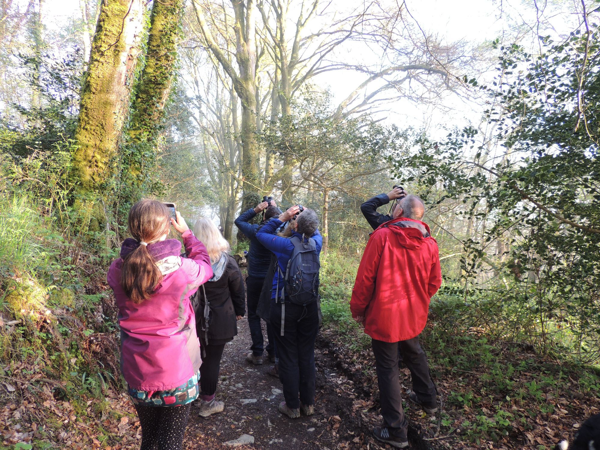 People in Kilminorth Woods. Some are using binoculars to look upwards into a tree. In the foreground, a woman in a dull pink coat is using a smartphone.