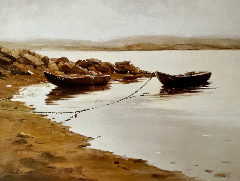 Soft day , Co Mayo