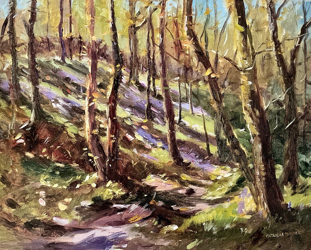 Through the bluebell wood, Lake District