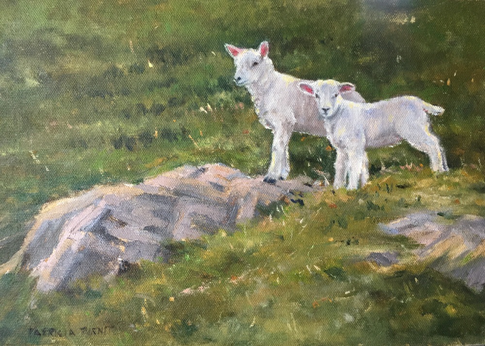 Spring Lambs, Lake District
