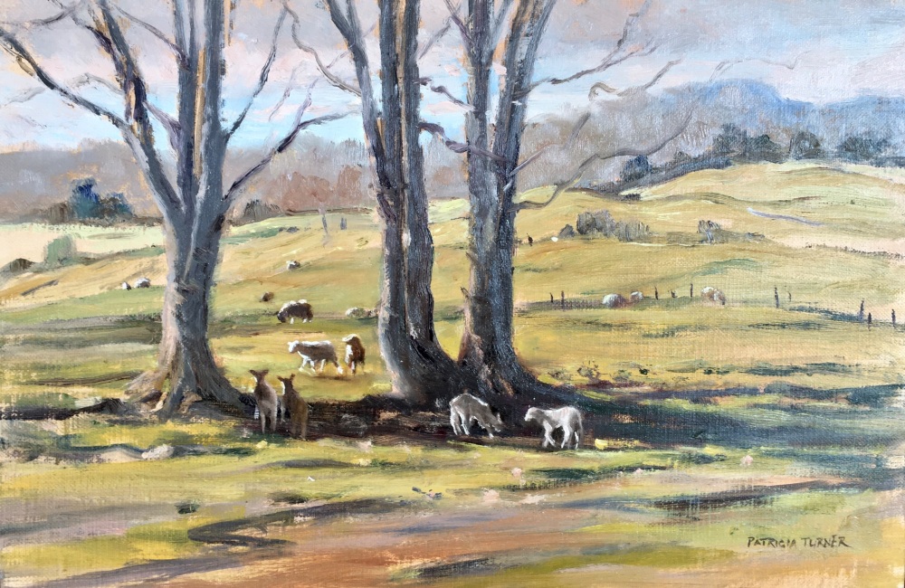 Peters Lambs, Bell Hill, Lake District, 20 x 30 cms (Unframed)