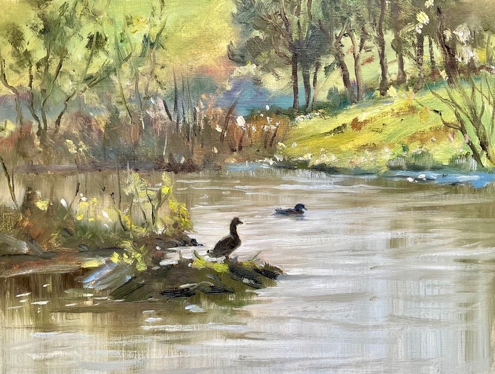 Duck Pond, Lake District, 24 x 30 cms (Unframed)
