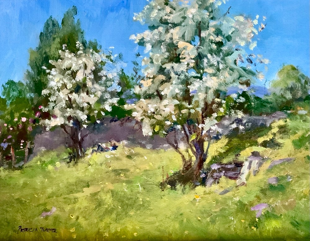Hawthorn trees in the paddock, Lake District 24 x 30 cms (Framed)