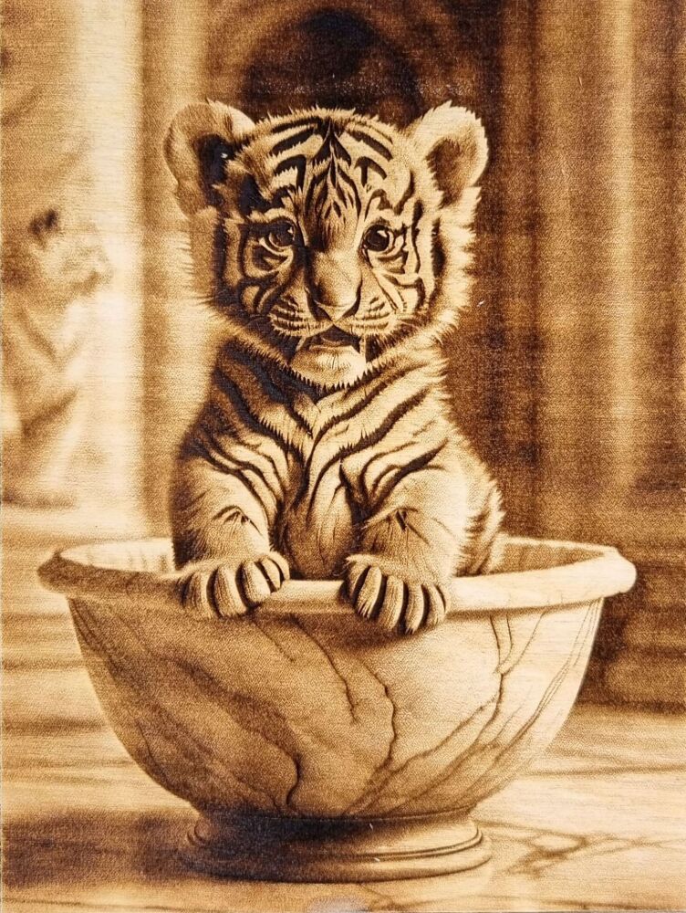 Baby Tiger