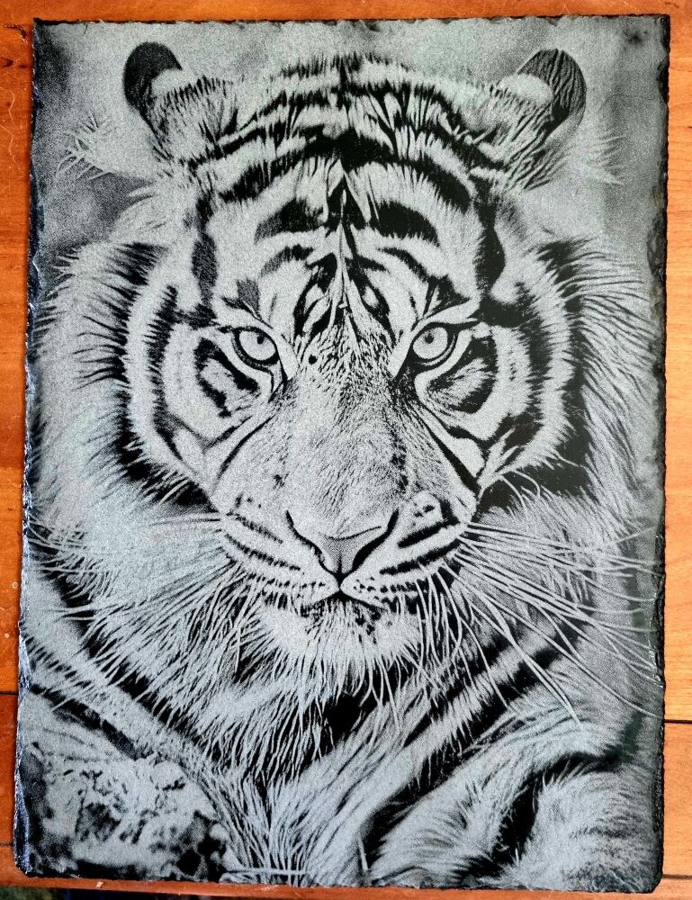 Slate Tiger