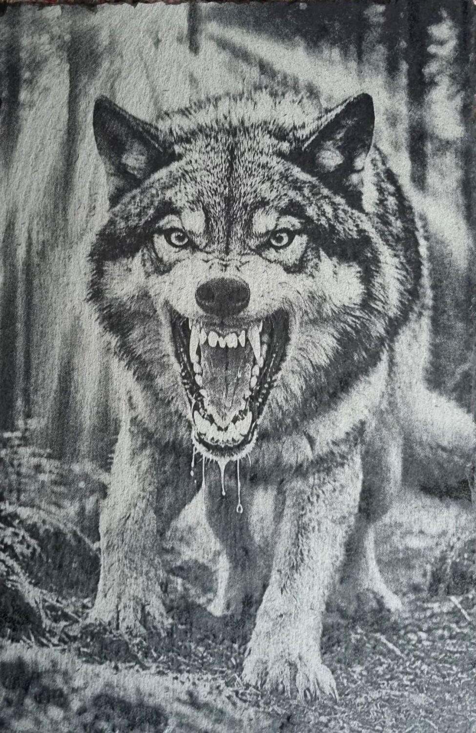 Slate Wolf