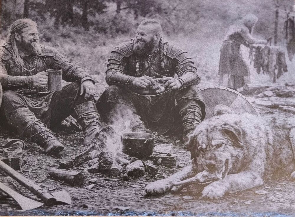 Vikings at rest