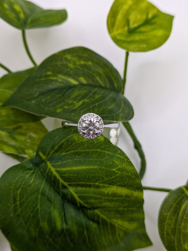 Round Halo 0.80ct VS1 / G