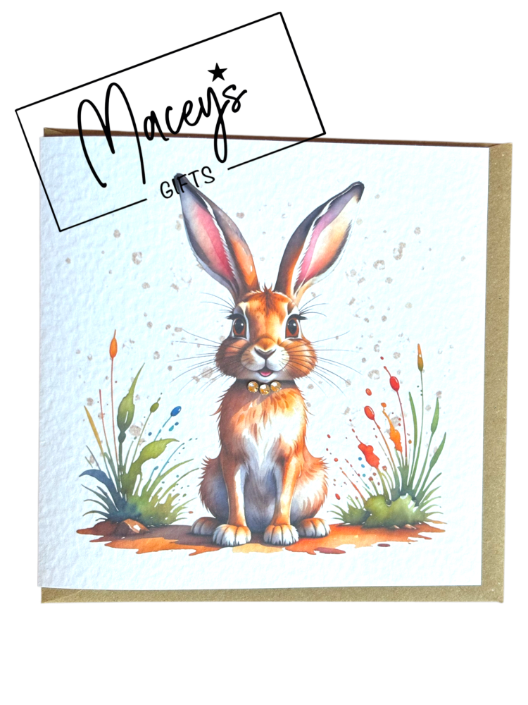 PACK OF 5 HARE CARDS