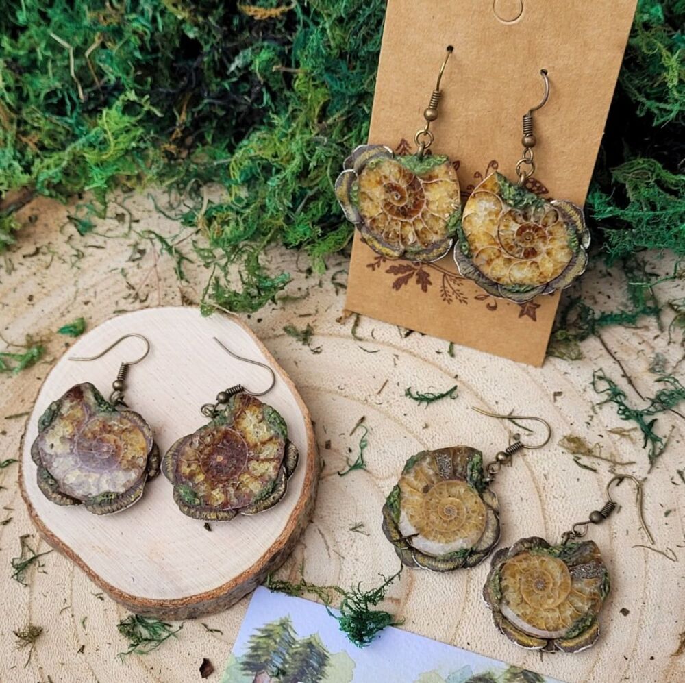 Ammonite x Turkey tail mushroom earrings collection