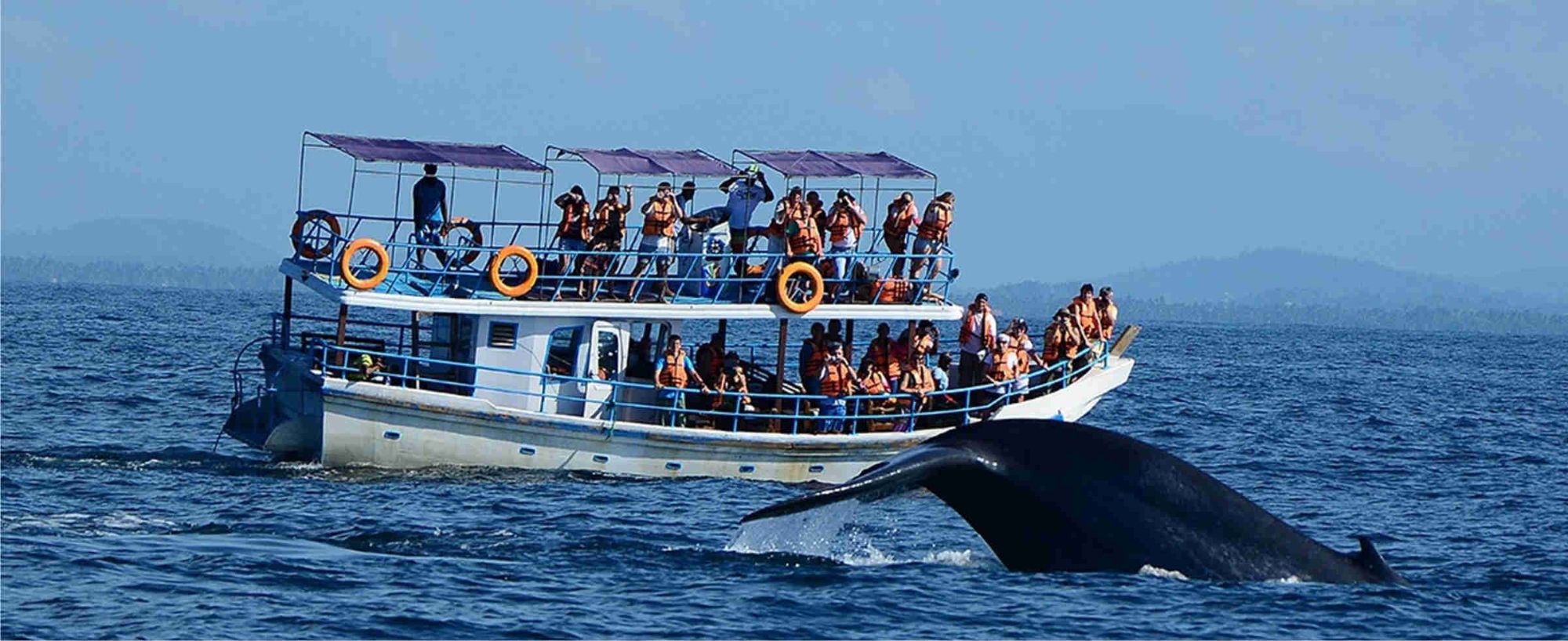 trincomalee  5.jpg