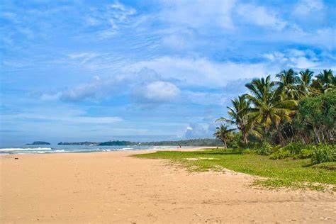 bentota