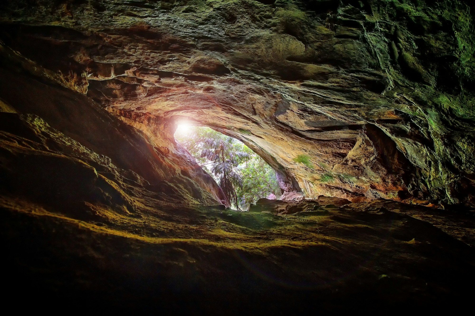 selective-focus-photography-of-cave-during-daytime-ObHDUyPfpeM
