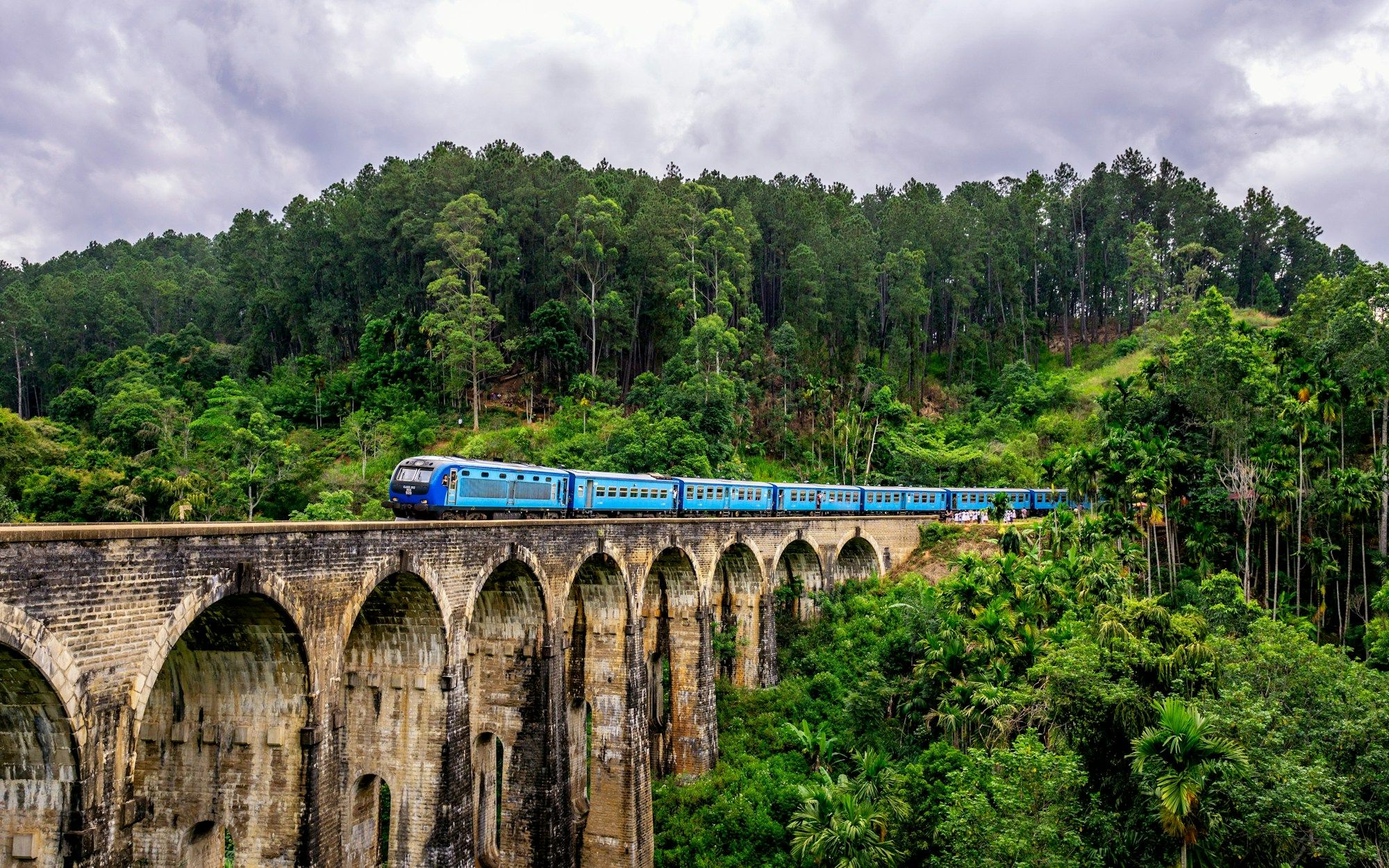 blue-train-surrounded-by-trees-jpTT_SAU034.jpg