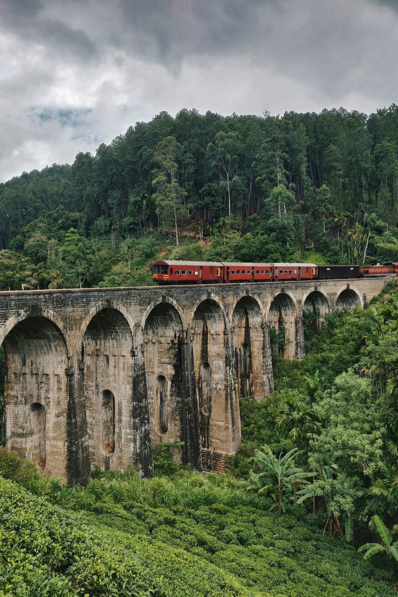 train-on-bridge-in-forest-vWGvoiHTFPU.jpg
