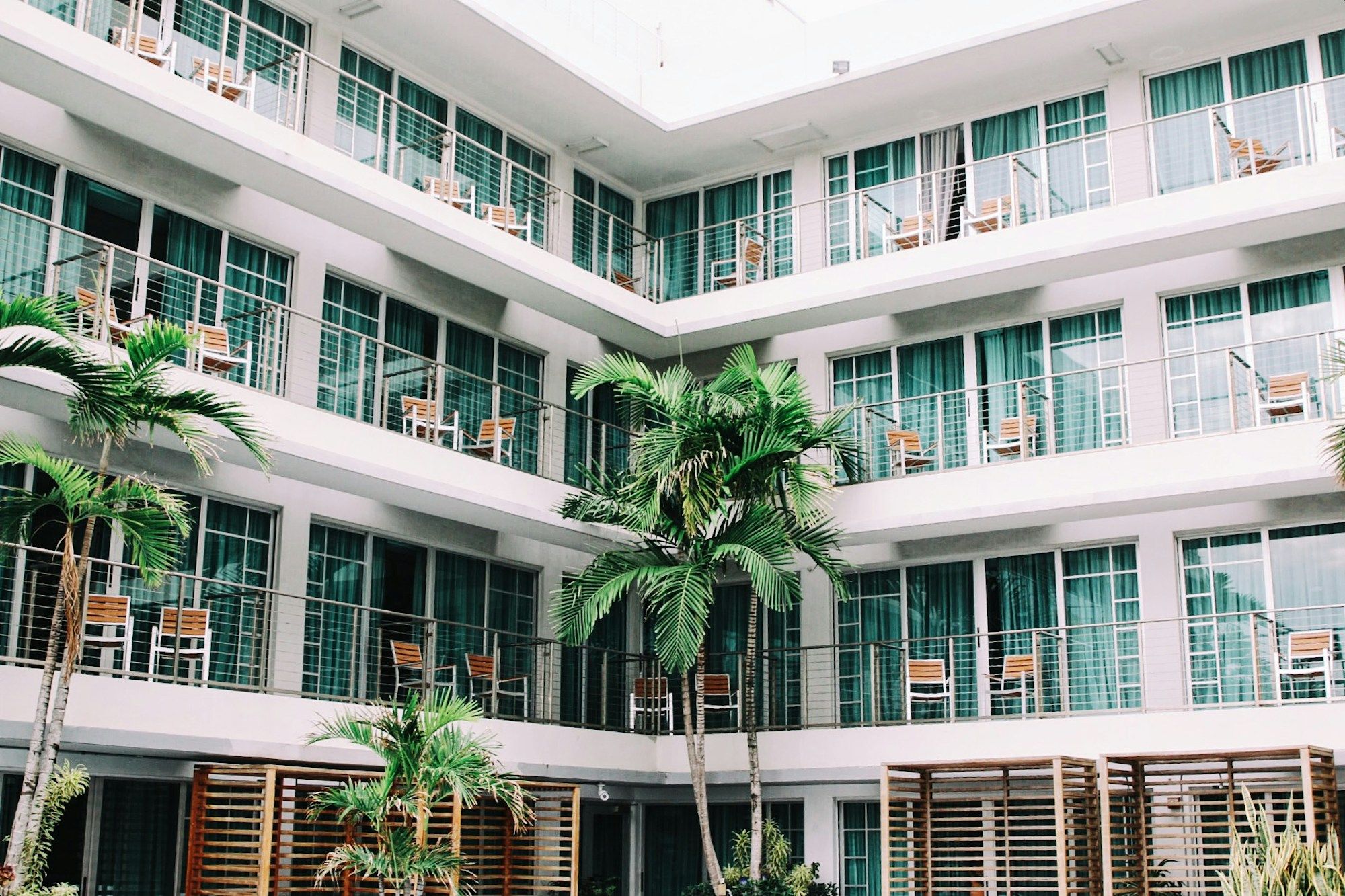coconut-palm-trees-in-hotel-lobby-_dS27XGgRyQ.jpg