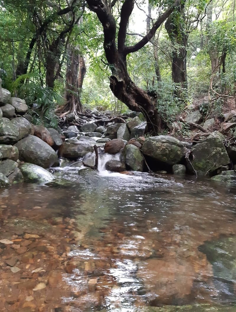 IMG-20250423-WA0007