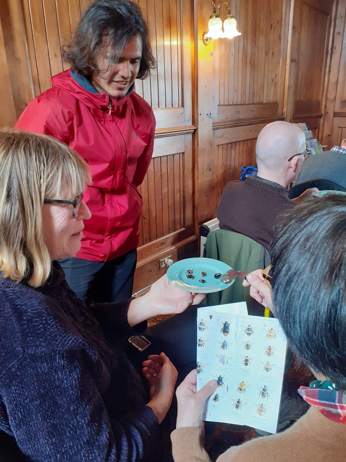 Bee identification Workshop 1