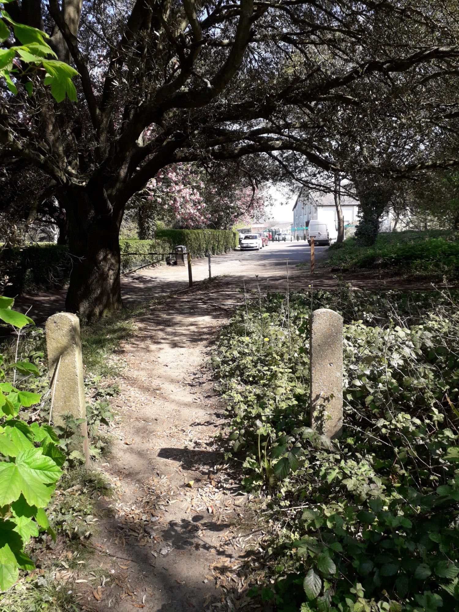 Jog Your Memory Walk_ campaign for footpath under threat to get official de