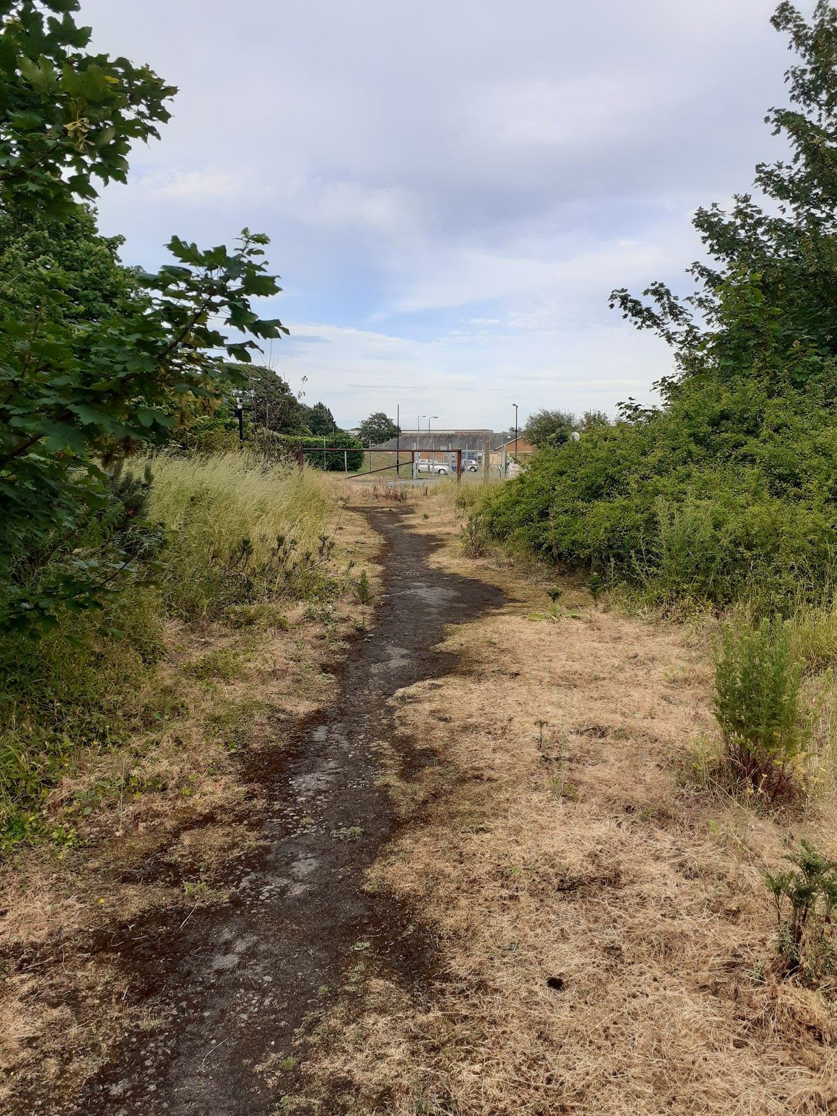 Jog Your Memory Walk_ campaign for footpath under threat to get official de