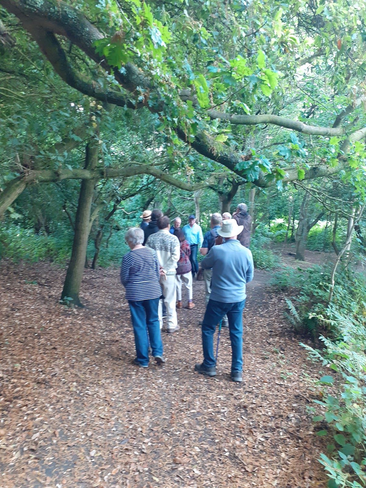 Jog Your Memory Walk_ campaign for footpath under threat to get official de