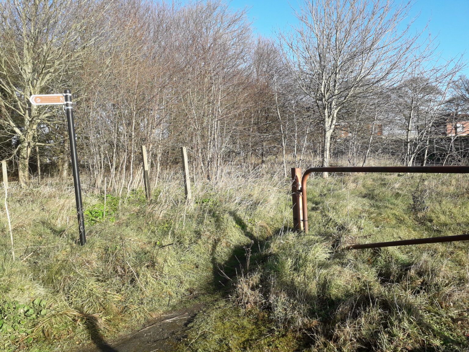Jog Your Memory Walk_campaign for footpath under threat to get official des