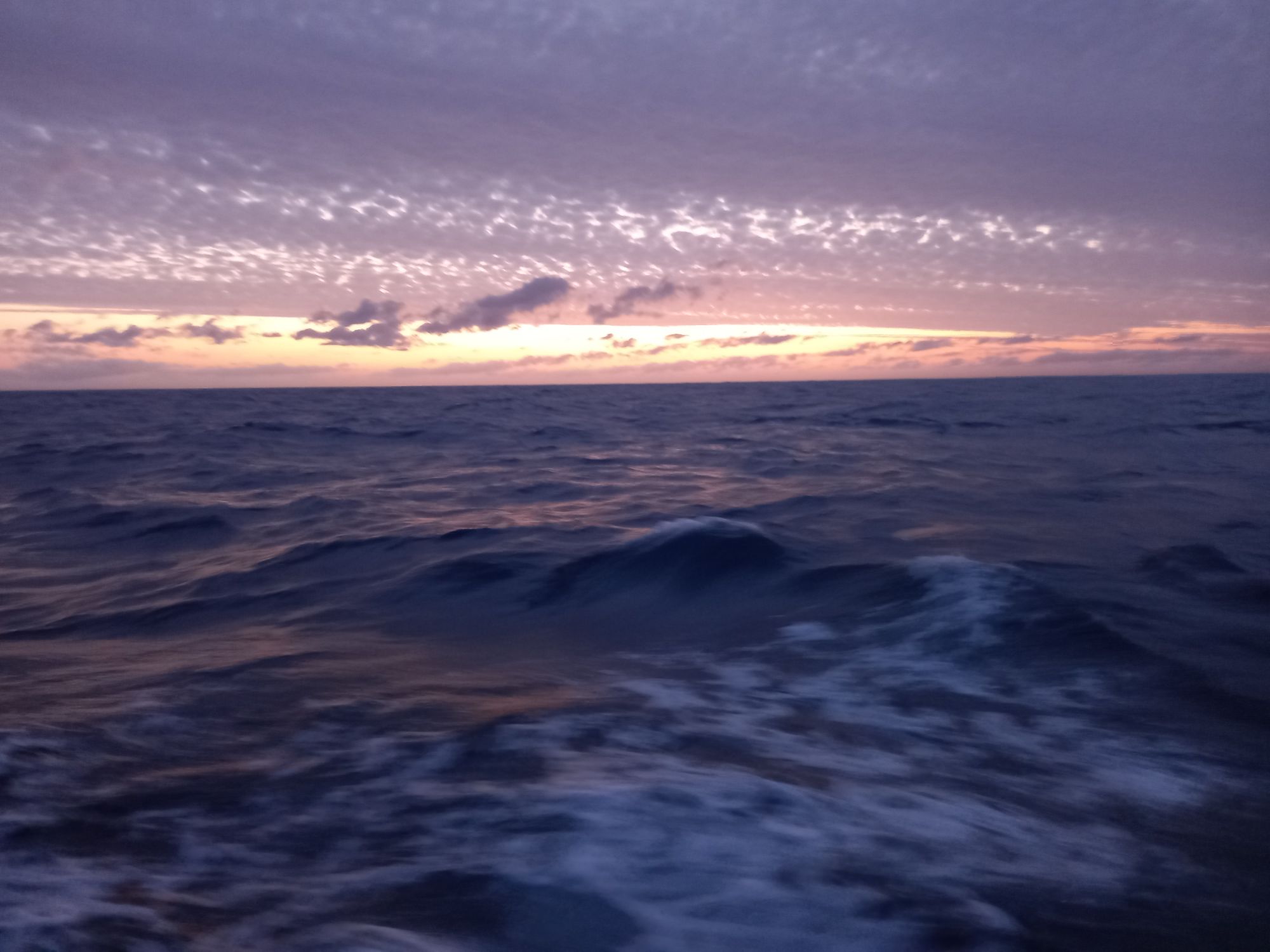 20220516_212158.jpg