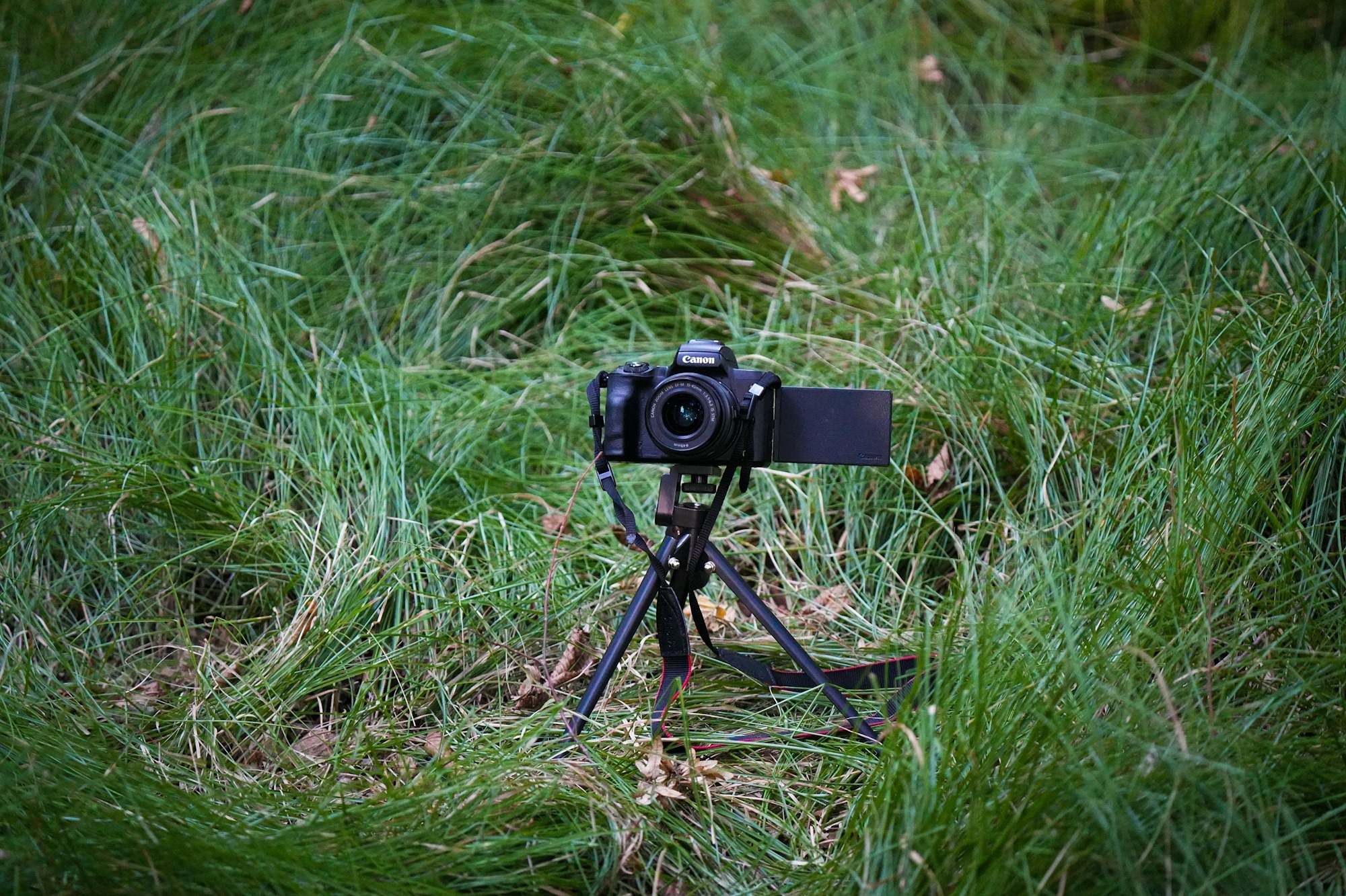 a camera is set up in the grass