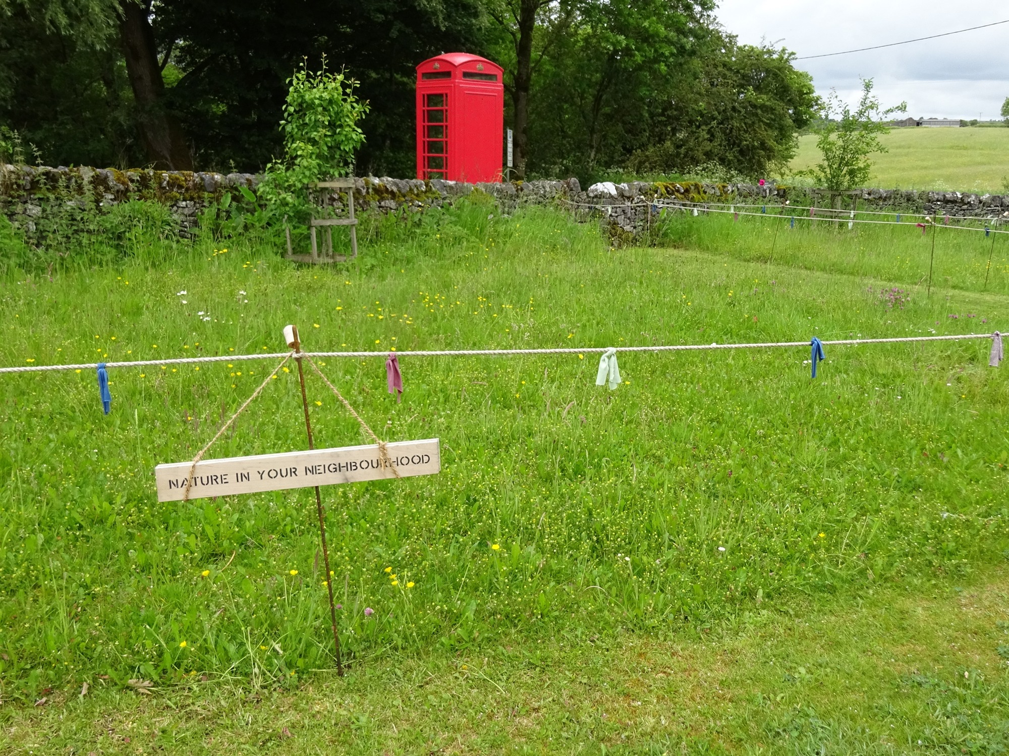 Hulme End Visitor Centre mini-meadow