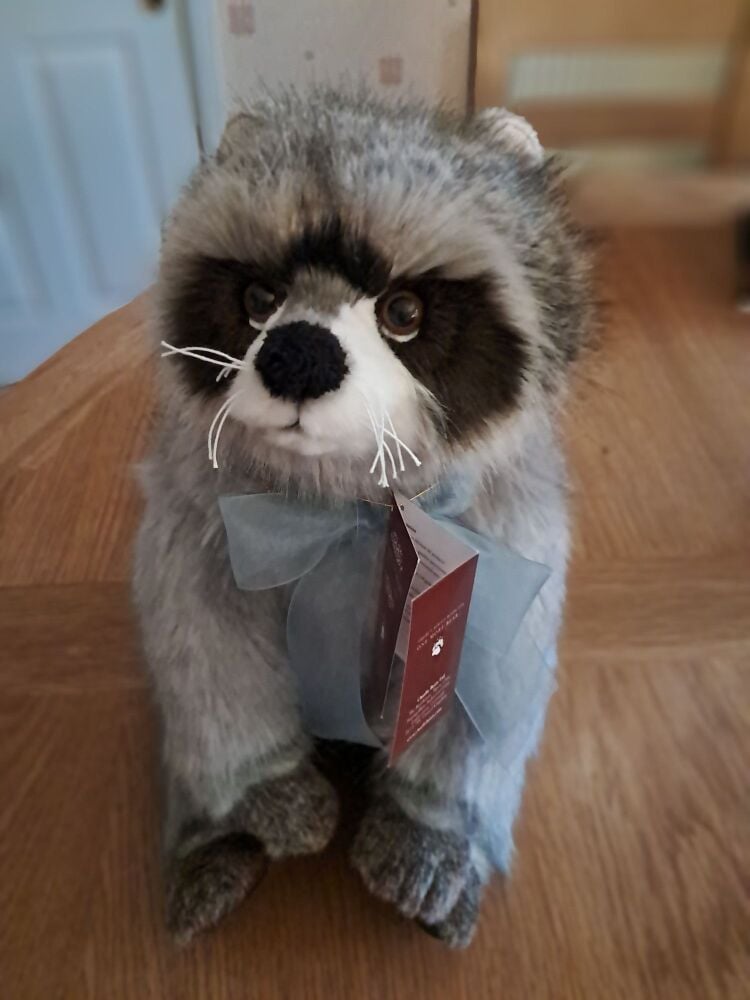 London (Racoon)