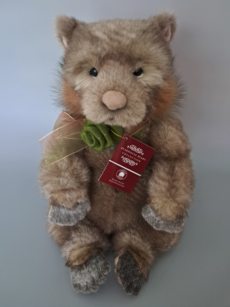 Darwin the Wombat