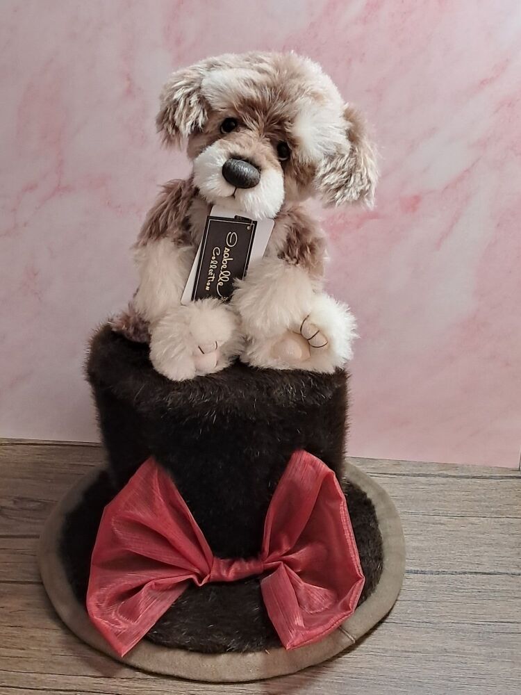 Muggleswick the Puppy
