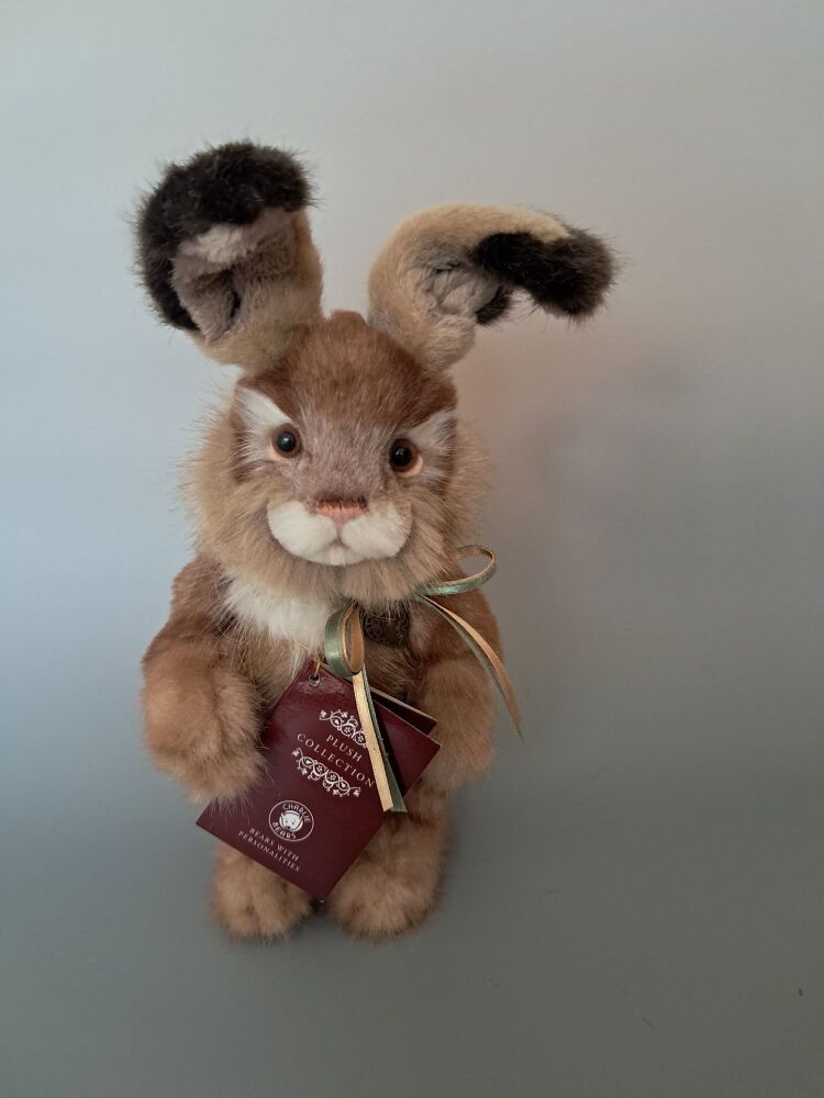 Chickpea the Rabbit