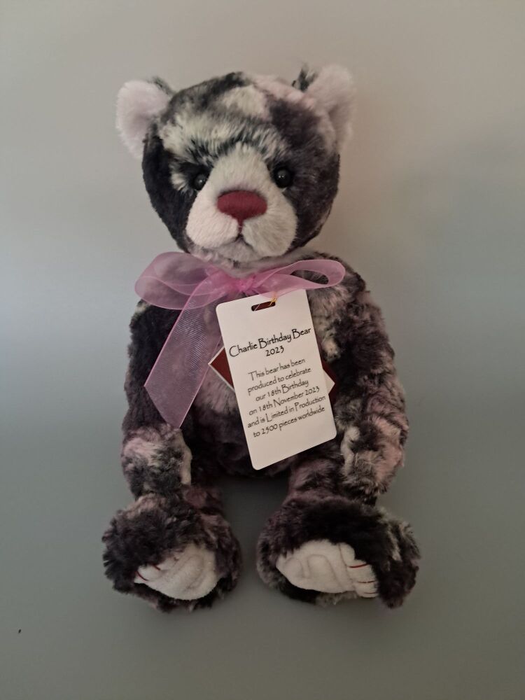 Birthday Bear 2023
