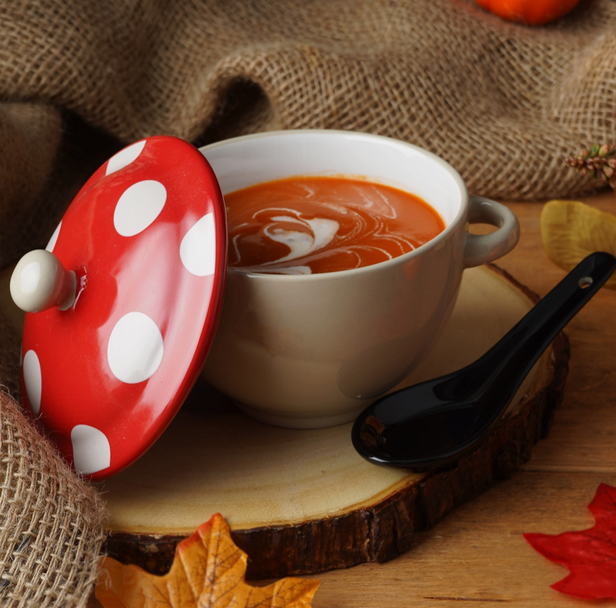 Snuggle Season Toadstool Soup Bowl in Gift Box