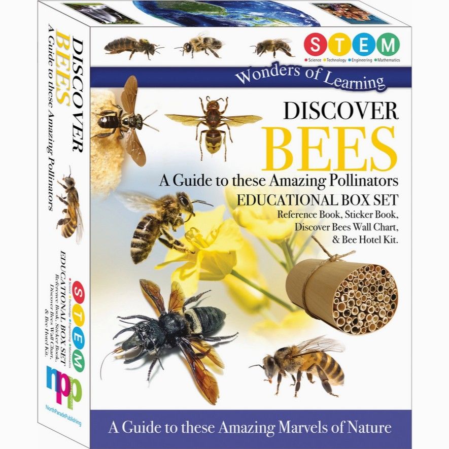 Discover Bees